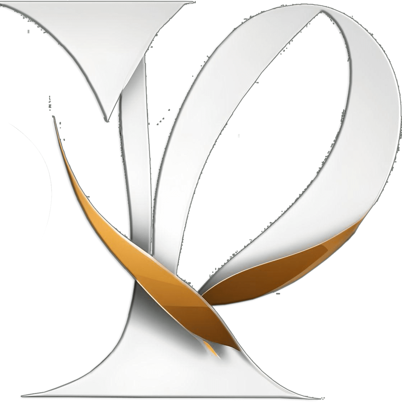 Studyus Image